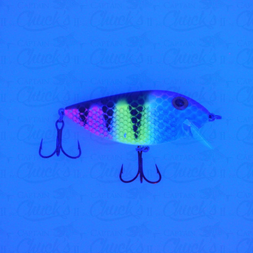 Killer Fish Magic Zebra UV