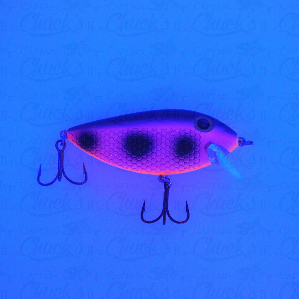 Killer Fish Jawbreaker UV