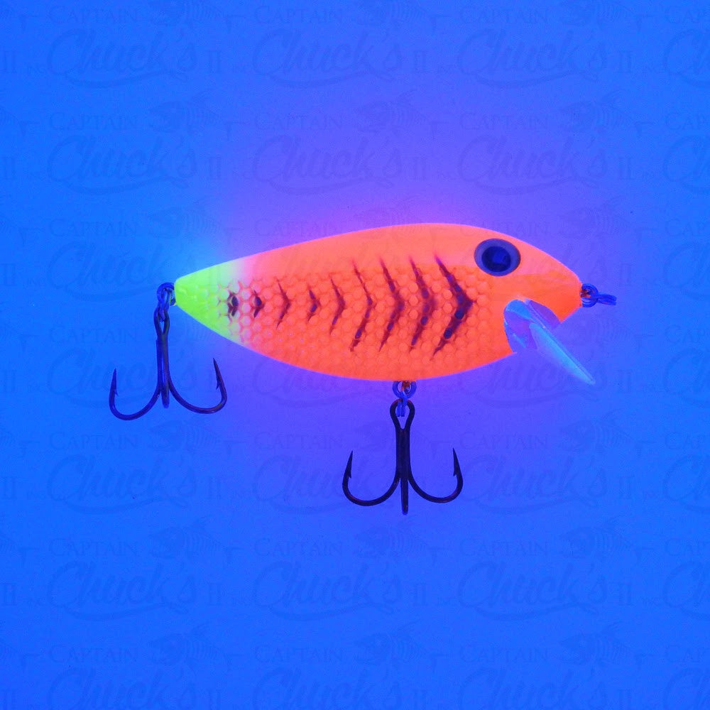 Killer Fish Glow Goldilocks UV