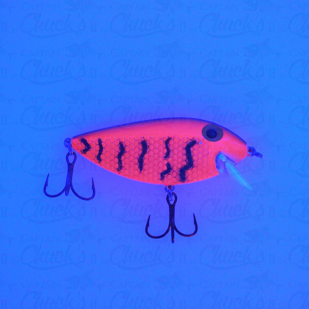 Killer Fish Red Squiggles UV